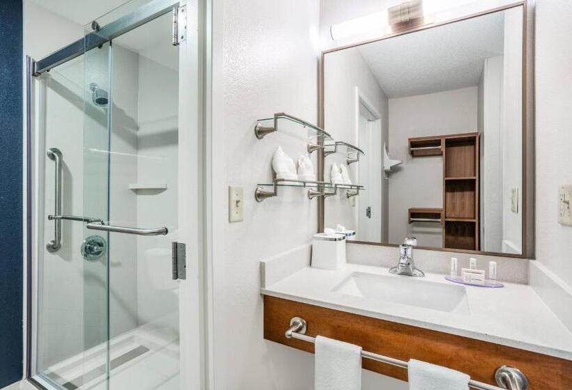 带大床的标准间, Fairfield Inn & Suites Indianapolis Northwest