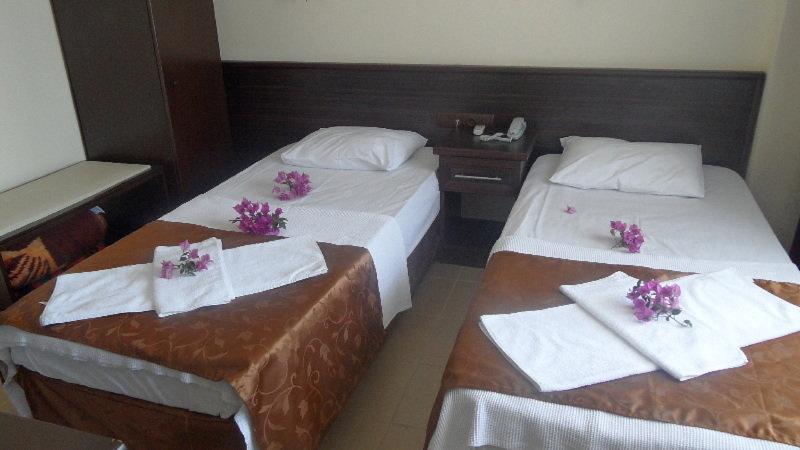 Номер Стандарт, Green Palm