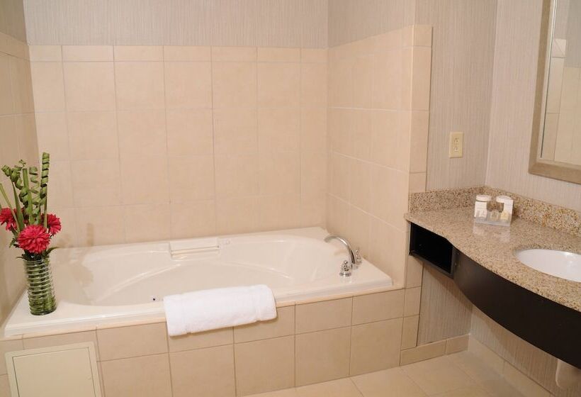 غرفة قياسية, Hilton Garden Inn Cartersville