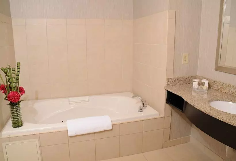 スタンダードルーム, Hilton Garden Inn Cartersville
