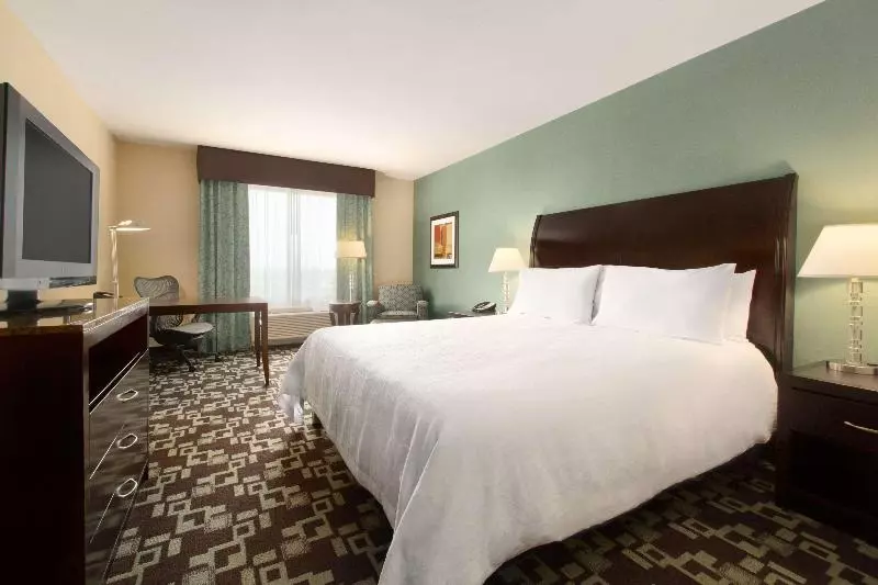 キングサイズベッドのスタンダードルーム, Hilton Garden Inn Cartersville
