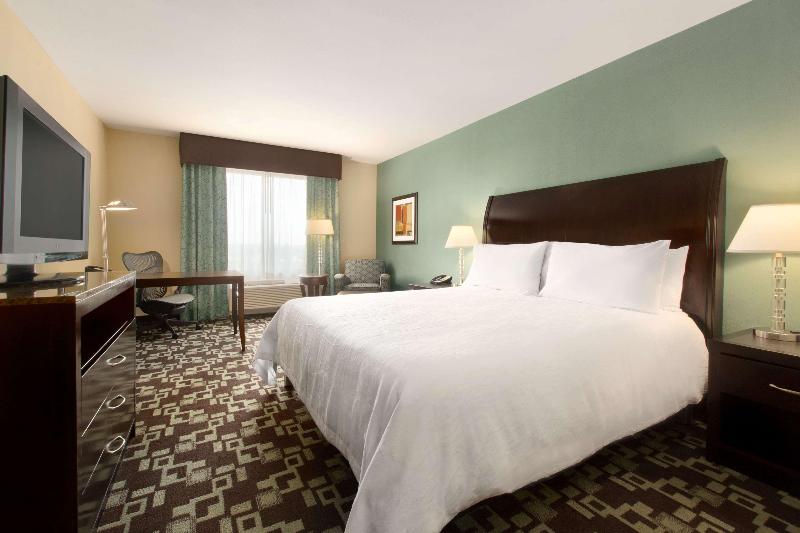 غرفة قياسية سرير كينج, Hilton Garden Inn Cartersville