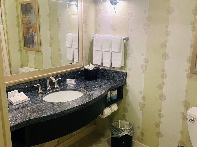 ジュニアスイート, Hilton Garden Inn Fort Worth Alliance Airport