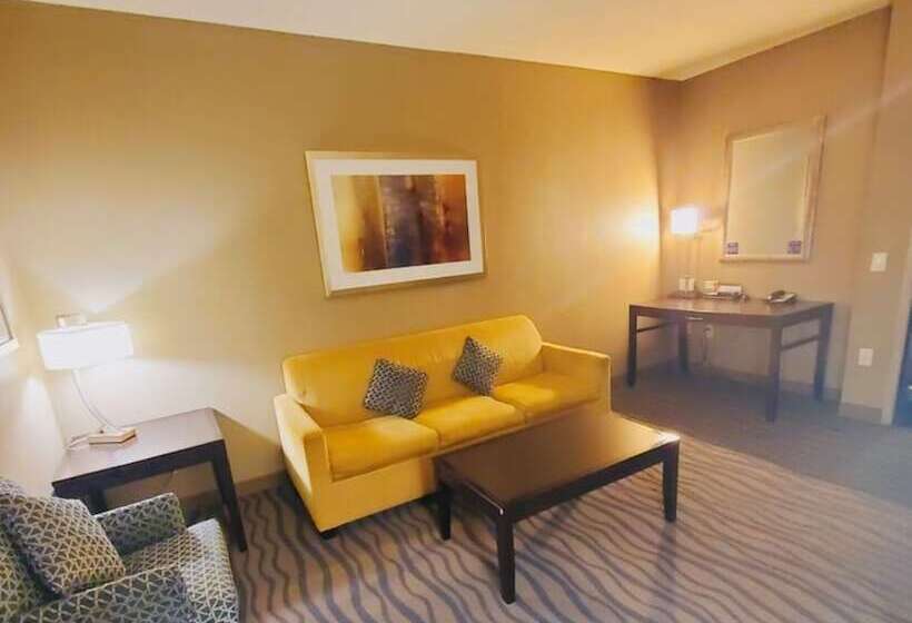 Полулюкс, Hilton Garden Inn Fort Worth Alliance Airport