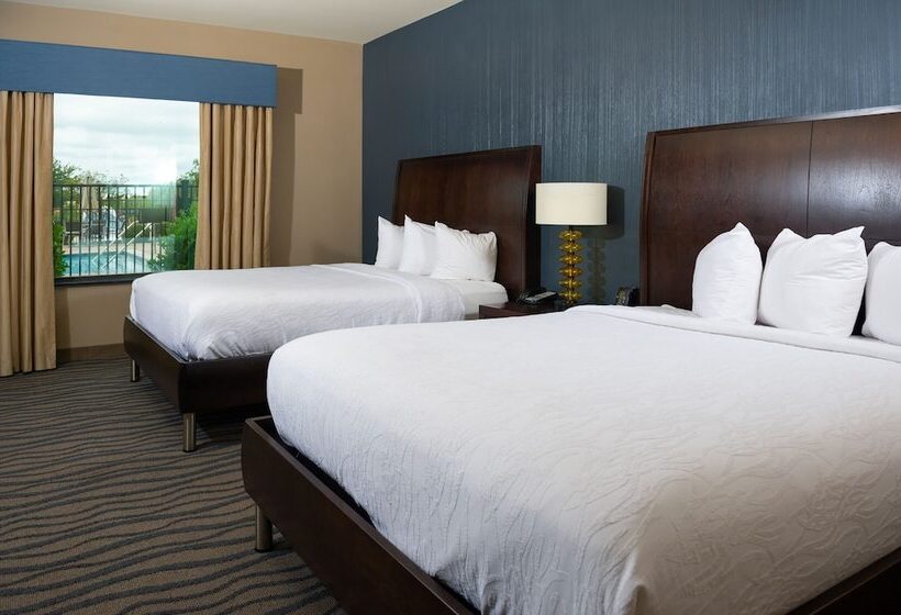 Полулюкс, Hilton Garden Inn Fort Worth Alliance Airport