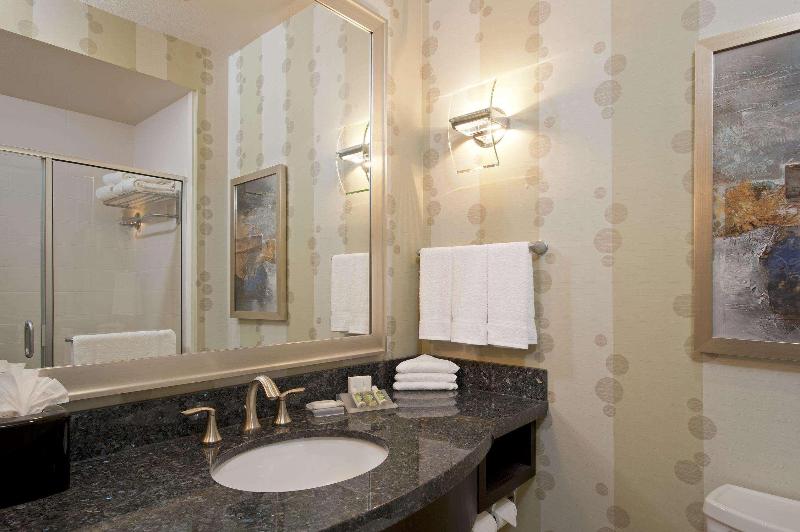 キングサイズベッドのデラックスルーム, Hilton Garden Inn Fort Worth Alliance Airport