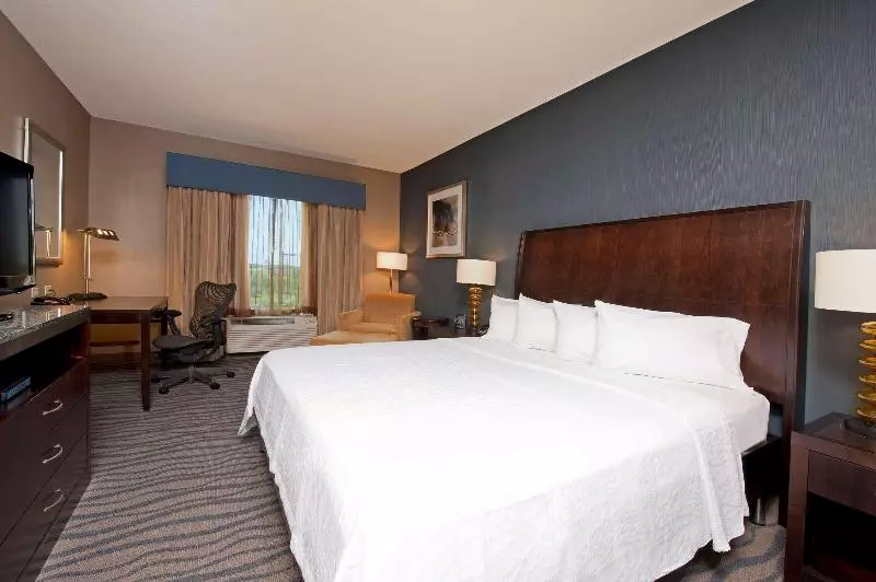 Deluxe-huone King-vuode, Hilton Garden Inn Fort Worth Alliance Airport