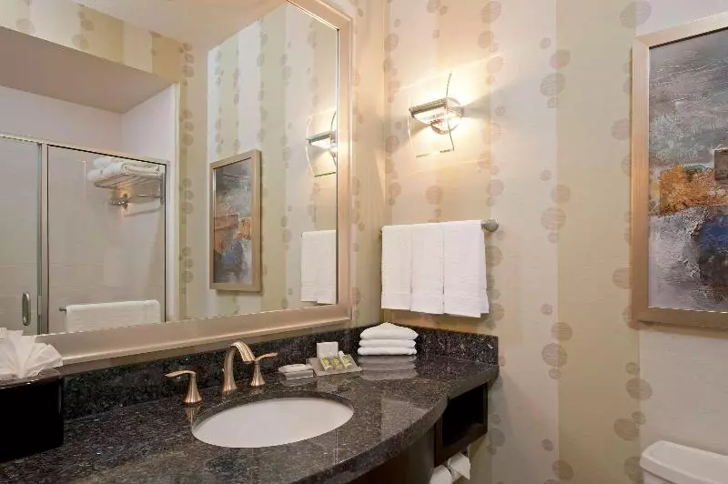 Deluxe-huone King-vuode, Hilton Garden Inn Fort Worth Alliance Airport