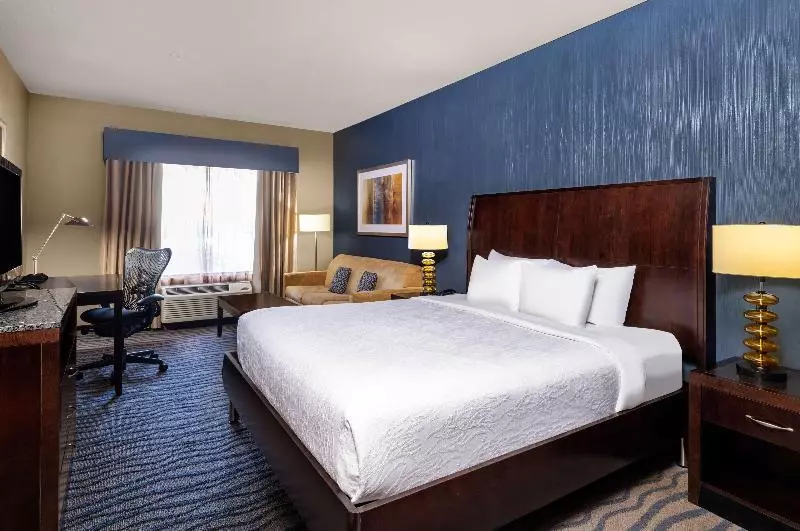 Deluxe-huone King-vuode, Hilton Garden Inn Fort Worth Alliance Airport