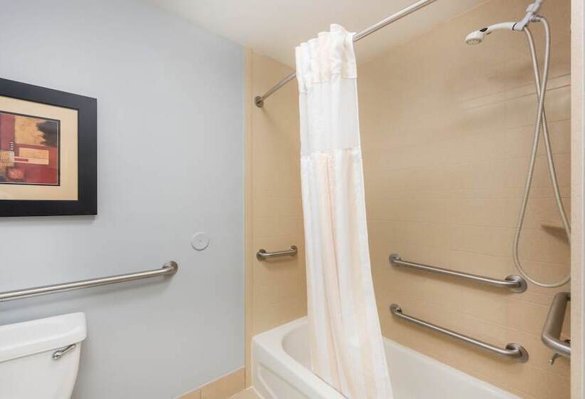 اتاق استاندارد با تخت بزرگ, Hilton Garden Inn St. Louis Shiloh/o Fallon Il