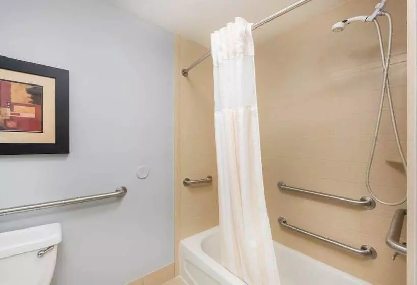 キングサイズベッドのスタンダードルーム, Hilton Garden Inn St. Louis Shiloh/o Fallon Il