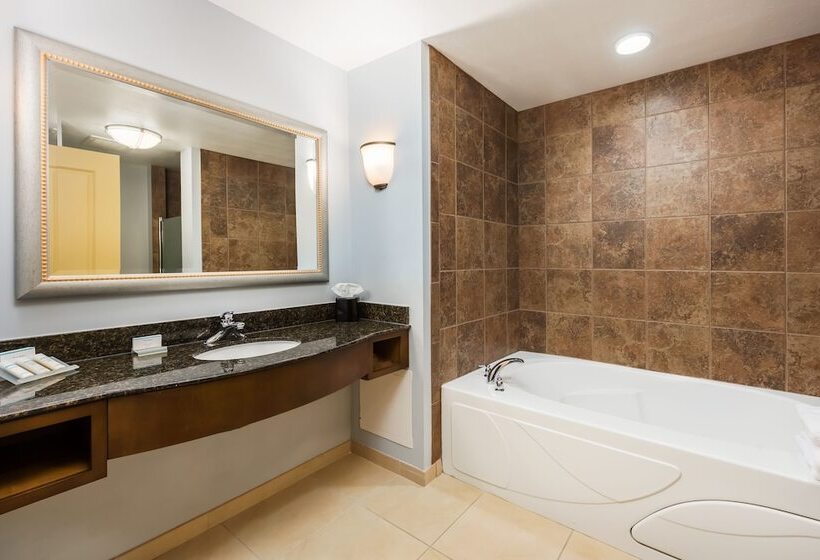 اتاق استاندارد با تخت بزرگ, Hilton Garden Inn St. Louis Shiloh/o Fallon Il