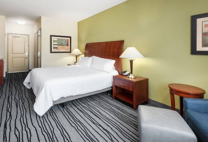Standard Værelse King-seng Tilpasset til Handicappede, Hilton Garden Inn St. Louis Shiloh/o Fallon Il