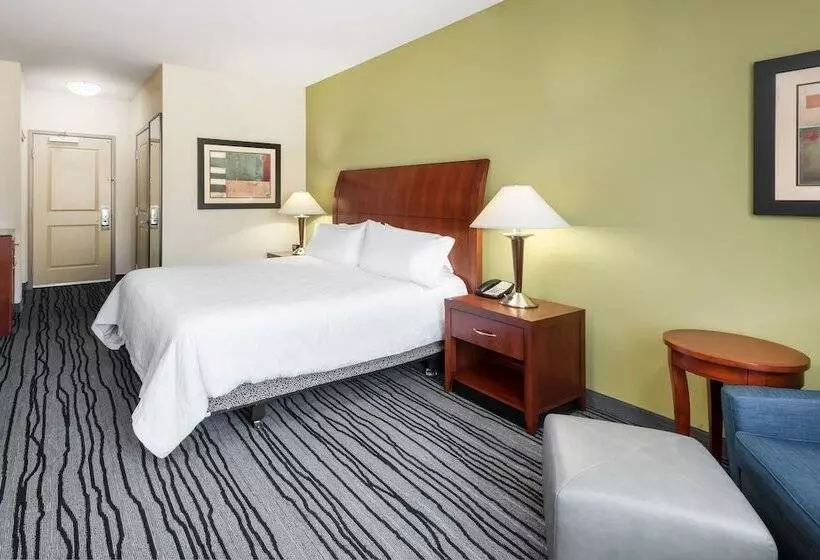 身障者適用キングサイズベッドルーム, Hilton Garden Inn St. Louis Shiloh/o Fallon Il