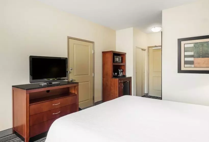 身障者適用キングサイズベッドルーム, Hilton Garden Inn St. Louis Shiloh/o Fallon Il