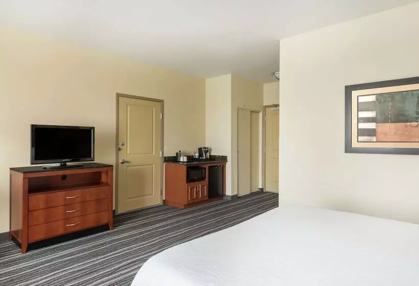 身障者適用キングサイズベッドルーム, Hilton Garden Inn St. Louis Shiloh/o Fallon Il
