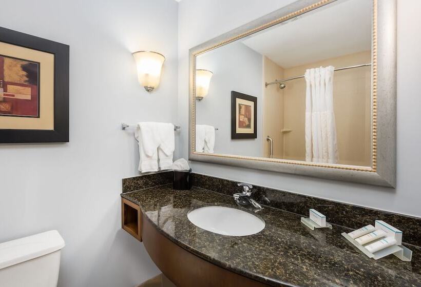 اتاق استاندارد با تخت بزرگ برای معلولان, Hilton Garden Inn St. Louis Shiloh/o Fallon Il