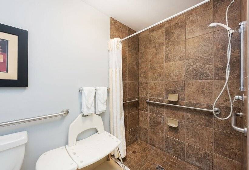 اتاق استاندارد با تخت بزرگ برای معلولان, Hilton Garden Inn St. Louis Shiloh/o Fallon Il