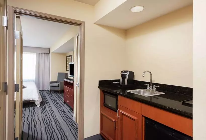 キングサイズベッドのスイートルーム, Hilton Garden Inn St. Louis Shiloh/o Fallon Il
