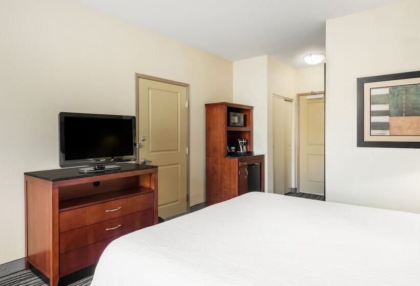 سوئیت با تخت بزرگ, Hilton Garden Inn St. Louis Shiloh/o Fallon Il