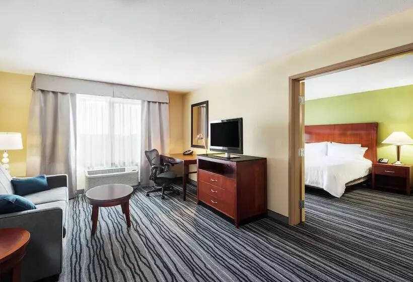 キングサイズベッドのスイートルーム, Hilton Garden Inn St. Louis Shiloh/o Fallon Il
