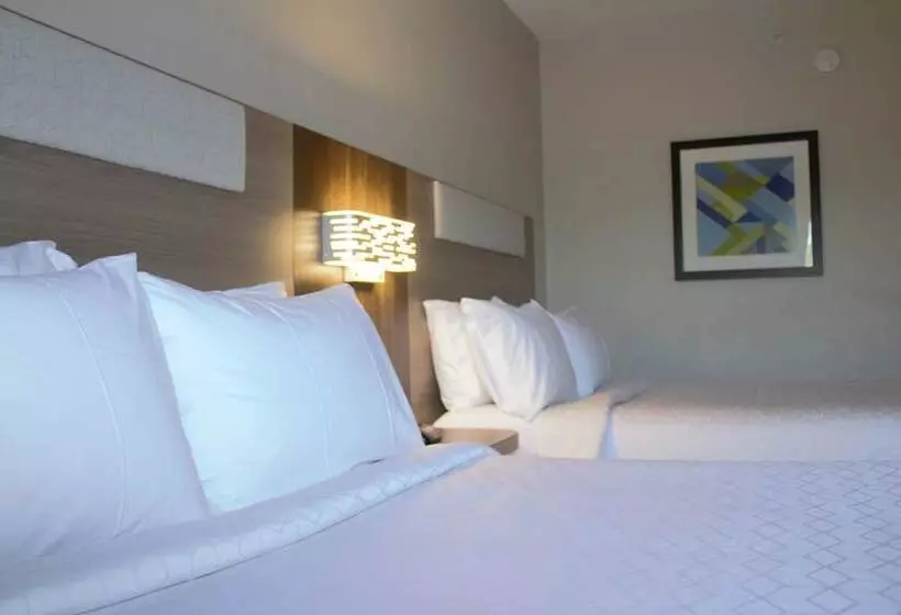 ２ダブルベッドのスタンダードルーム, Holiday Inn Express Hotel & Suites Hope Mills Fayetteville Airport, An Ihg