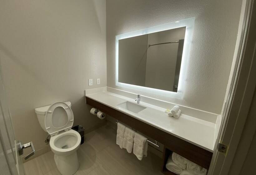 Suite, Holiday Inn Express Hotel Galveston West Seawall, An Ihg