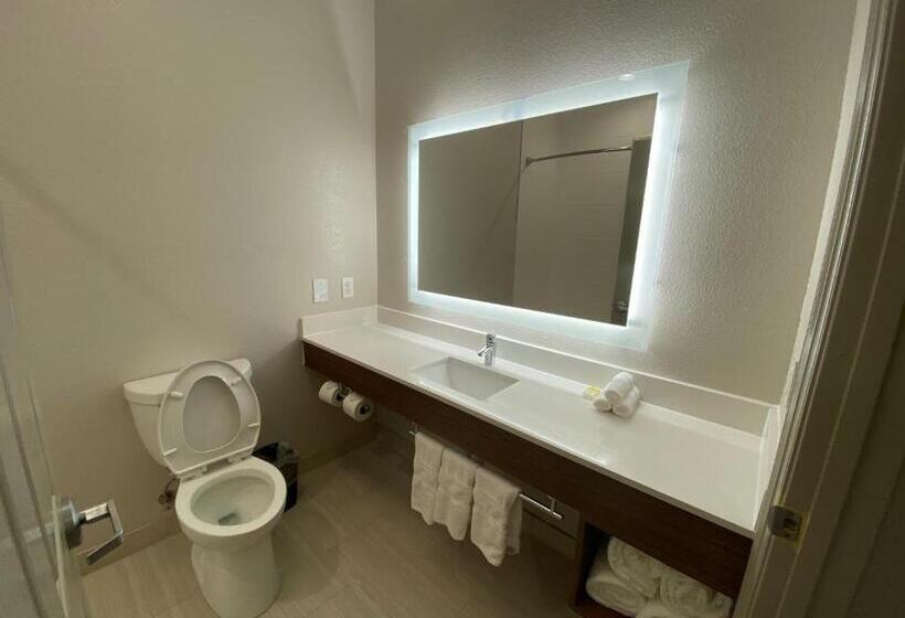 스탠다드 룸, Holiday Inn Express Hotel Galveston West Seawall, An Ihg