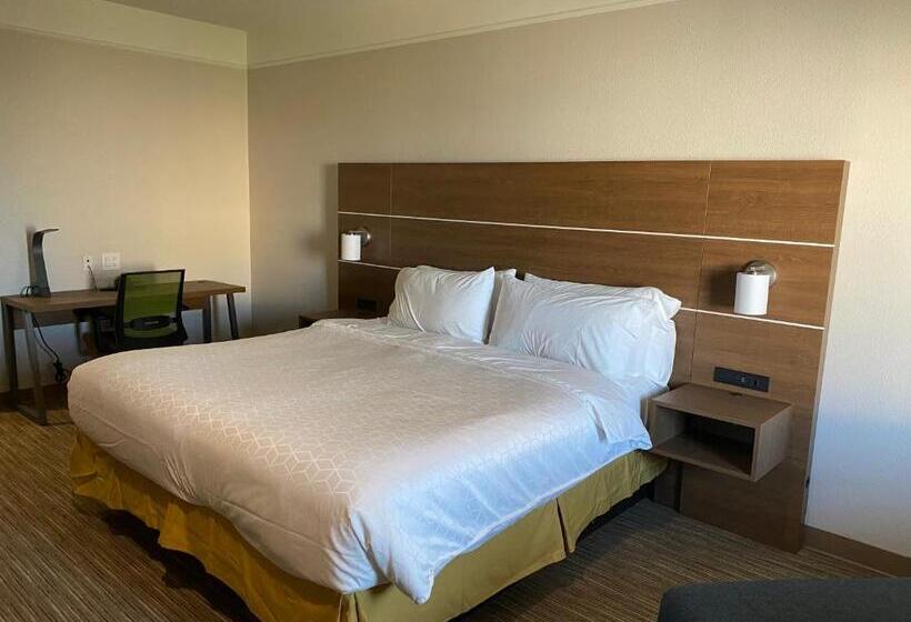 Standard Værelse King-seng Tilpasset til Handicappede, Holiday Inn Express Hotel Galveston West Seawall, An Ihg