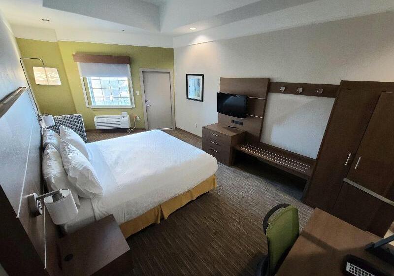스탠다드 룸 킹사이즈 침대, Holiday Inn Express Hotel Galveston West Seawall, An Ihg