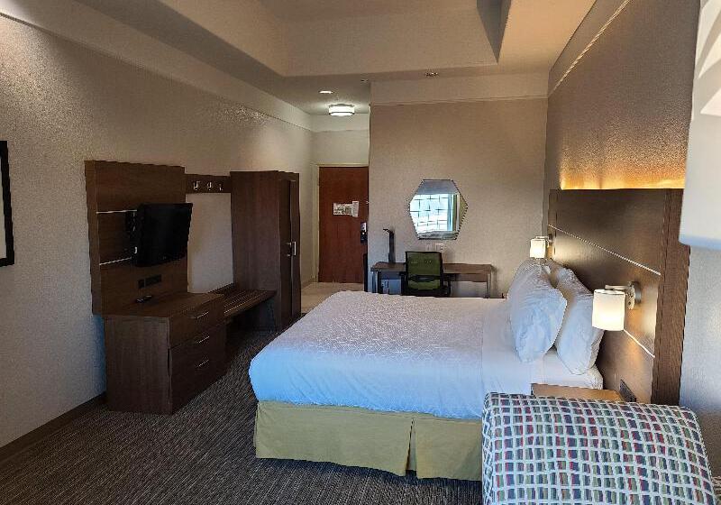 스탠다드 룸 킹사이즈 침대, Holiday Inn Express Hotel Galveston West Seawall, An Ihg