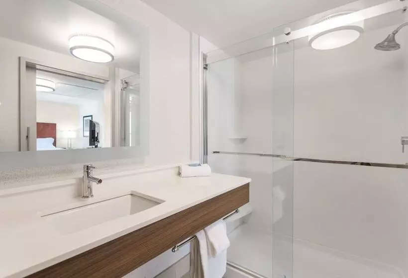 スイート, Holiday Inn Express & Suites Wilmington University Center, An Ihg