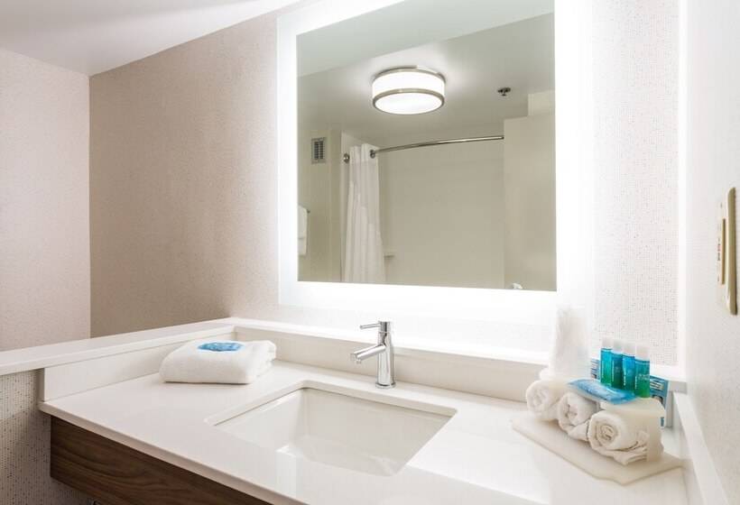 סוויטה אקזקיוטיב, Holiday Inn Express & Suites Wilmington University Center, An Ihg