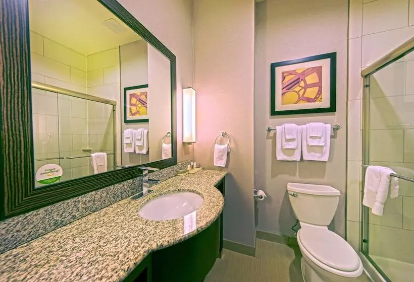 スタンダードルーム, Holiday Inn Houston West   Westway Park, An Ihg