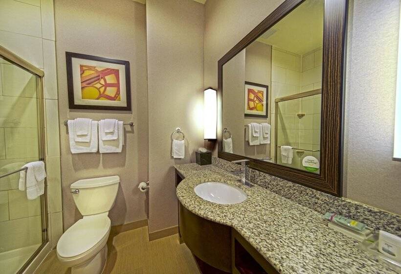 اتاق استاندارد, Holiday Inn Houston West Westway Park, An Ihg