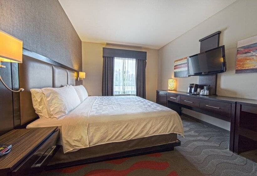 اتاق استاندارد, Holiday Inn Houston West   Westway Park, An Ihg