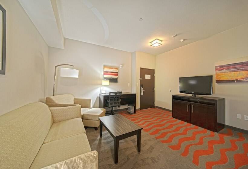 سوئیت برای معلولان, Holiday Inn Houston West Westway Park, An Ihg