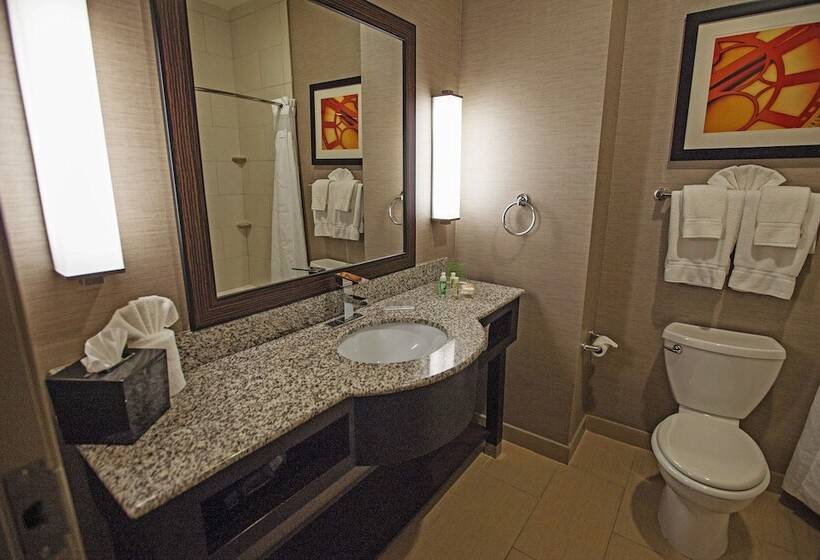 سوئیت برای معلولان, Holiday Inn Houston West Westway Park, An Ihg