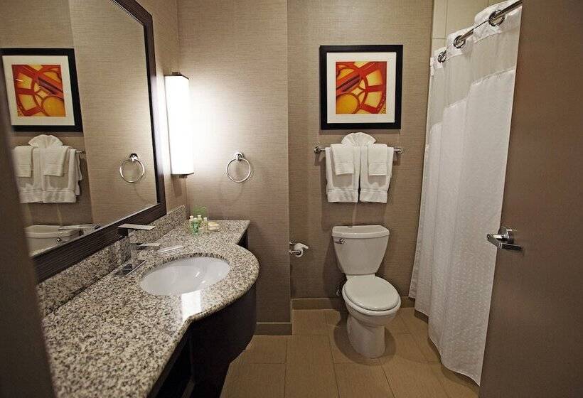 سوئیت برای معلولان, Holiday Inn Houston West Westway Park, An Ihg