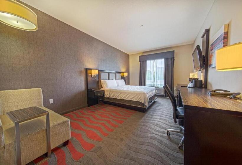 اتاق اجرایی با تخت بزرگ, Holiday Inn Houston West Westway Park, An Ihg