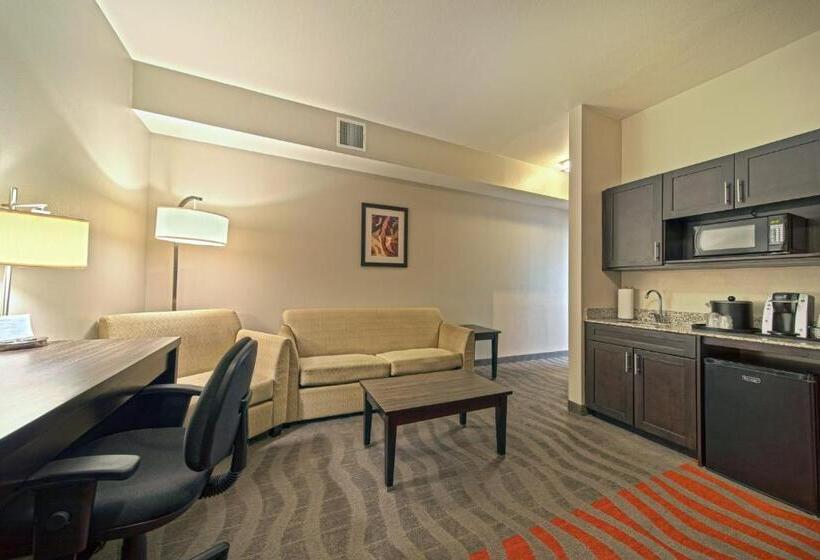 اتاق استاندارد با تخت بزرگ برای معلولان, Holiday Inn Houston West Westway Park, An Ihg