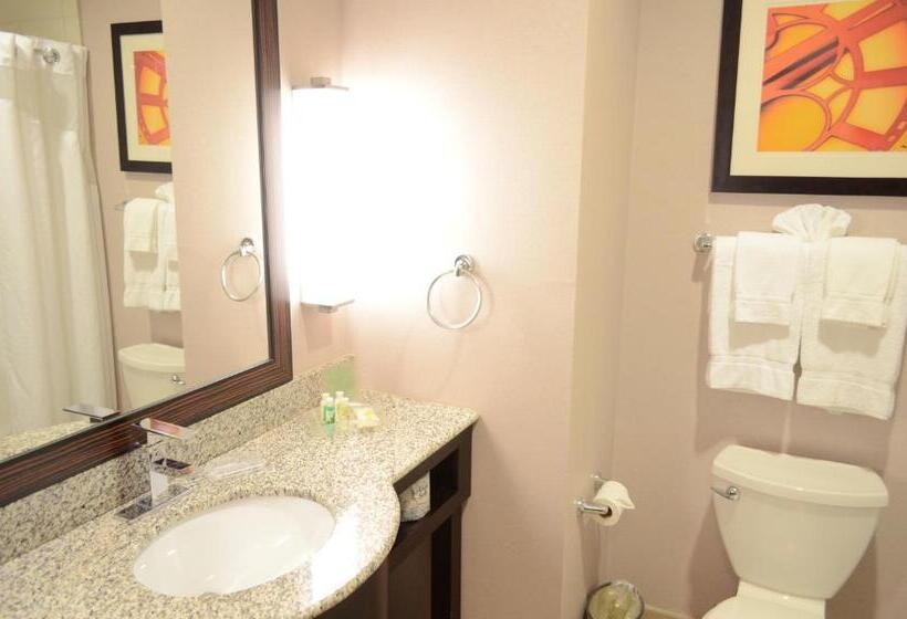 اتاق استاندارد با تخت بزرگ برای معلولان, Holiday Inn Houston West Westway Park, An Ihg
