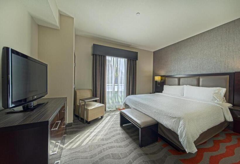سوئیت با تخت بزرگ, Holiday Inn Houston West Westway Park, An Ihg
