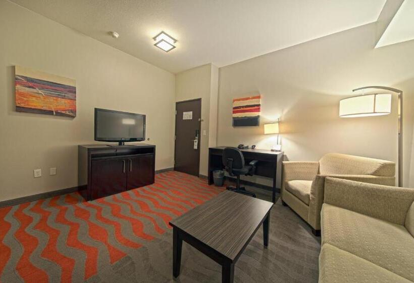 سوئیت با تخت بزرگ, Holiday Inn Houston West Westway Park, An Ihg