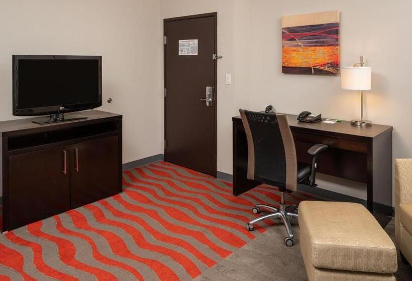 سوئیت با تخت بزرگ, Holiday Inn Houston West   Westway Park, An Ihg