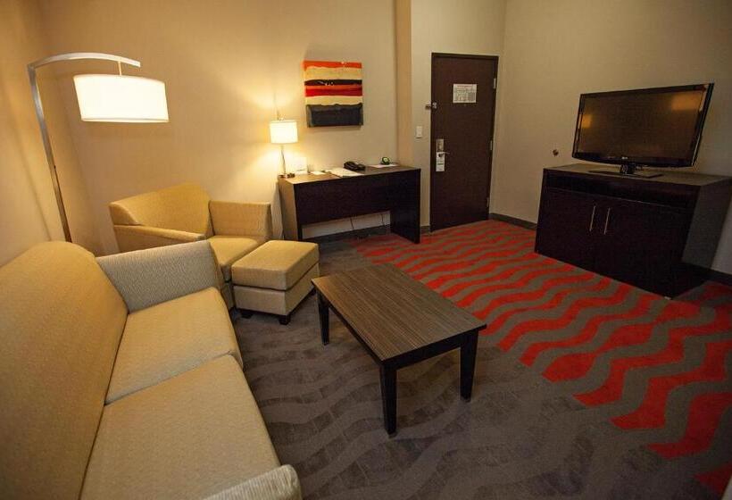 سوئیت برای معلولان, Holiday Inn Houston West Westway Park, An Ihg