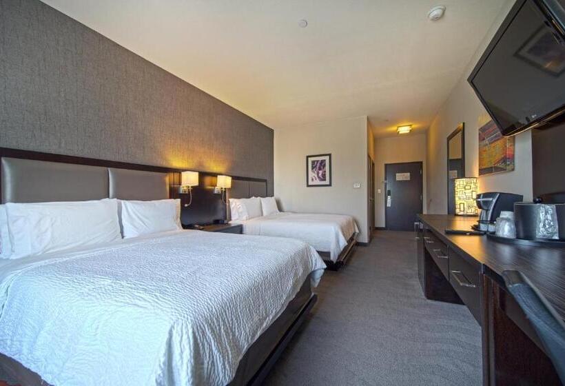 اتاق استاندارد برای معلولان, Holiday Inn Houston West Westway Park, An Ihg