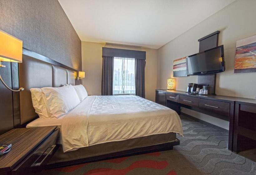 اتاق استاندارد برای معلولان, Holiday Inn Houston West Westway Park, An Ihg