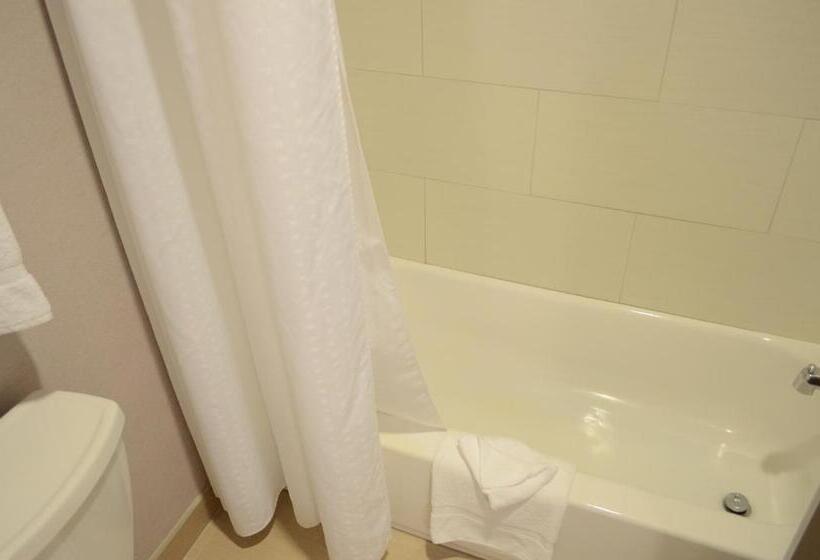 اتاق استاندارد با تخت بزرگ برای معلولان, Holiday Inn Houston West Westway Park, An Ihg