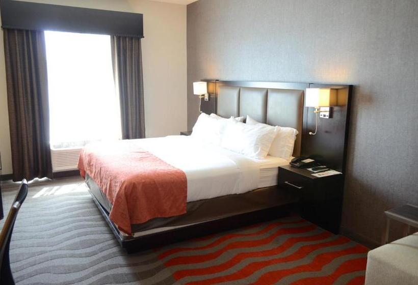 اتاق استاندارد با تخت بزرگ برای معلولان, Holiday Inn Houston West Westway Park, An Ihg